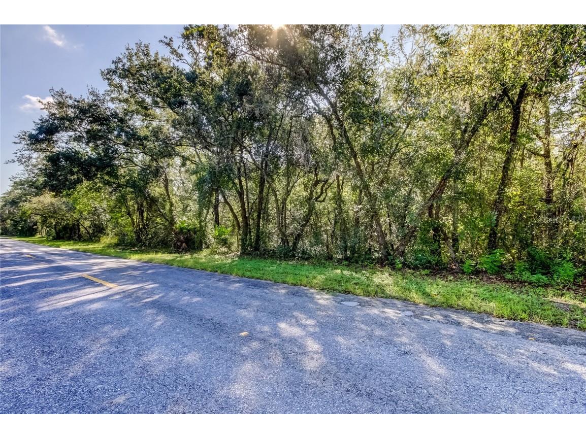 9670 Star Trl New Port Richey FL 34654 TB8430389 image2