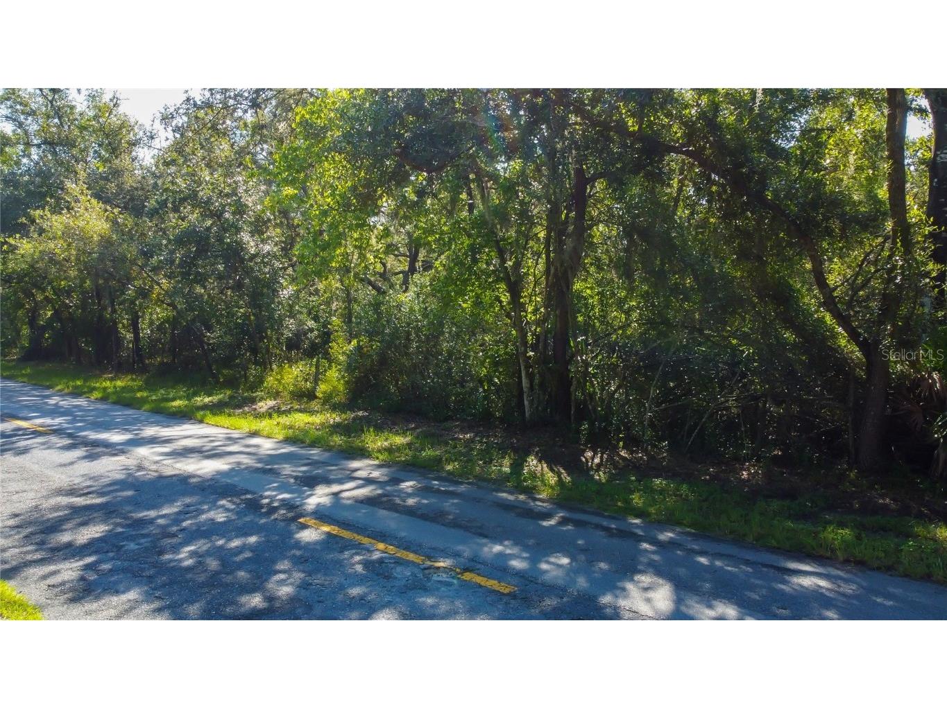 9670 Star Trl New Port Richey FL 34654 TB8430389 image29