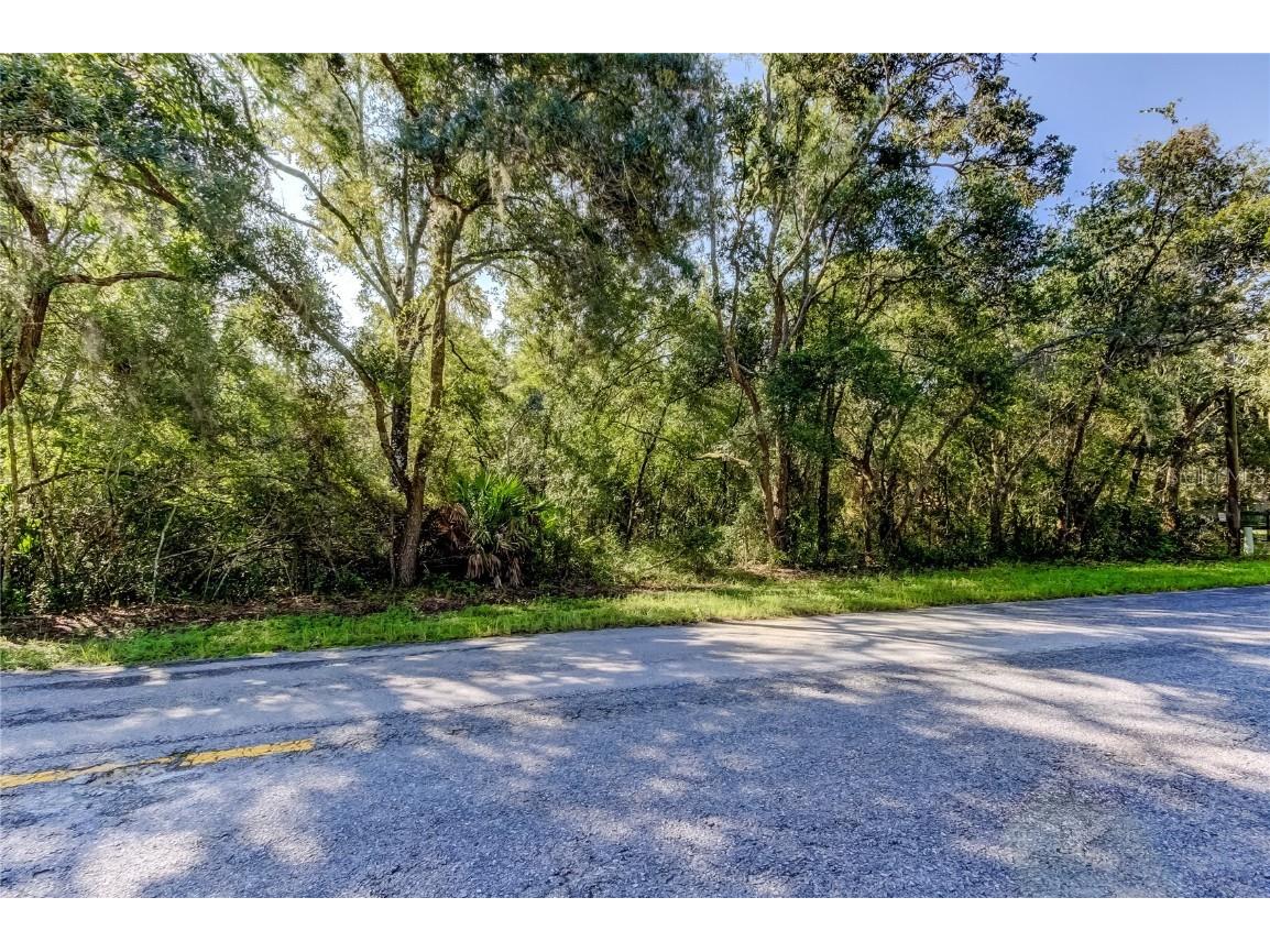 9670 Star Trl New Port Richey FL 34654 TB8430389 image3