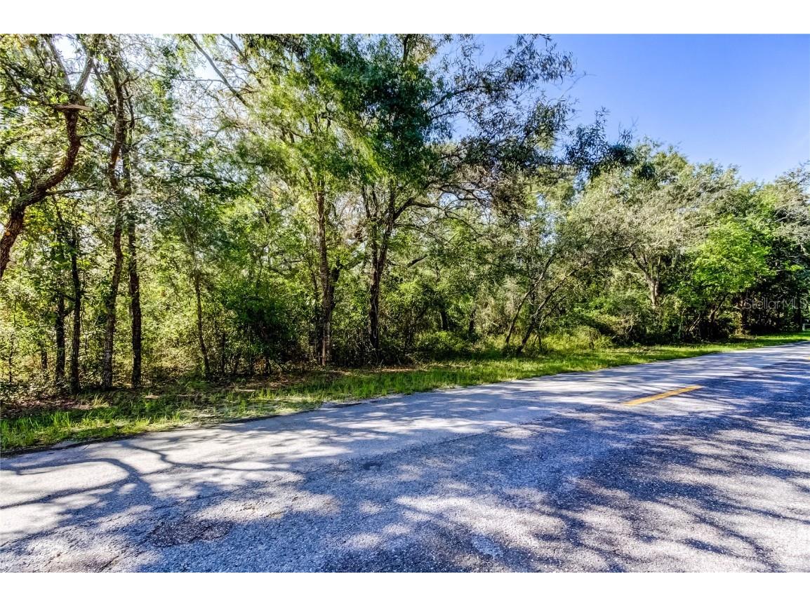 9670 Star Trl New Port Richey FL 34654 TB8430389 image4