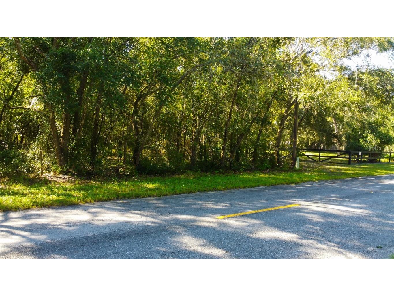 9670 Star Trl New Port Richey FL 34654 TB8430389 image5