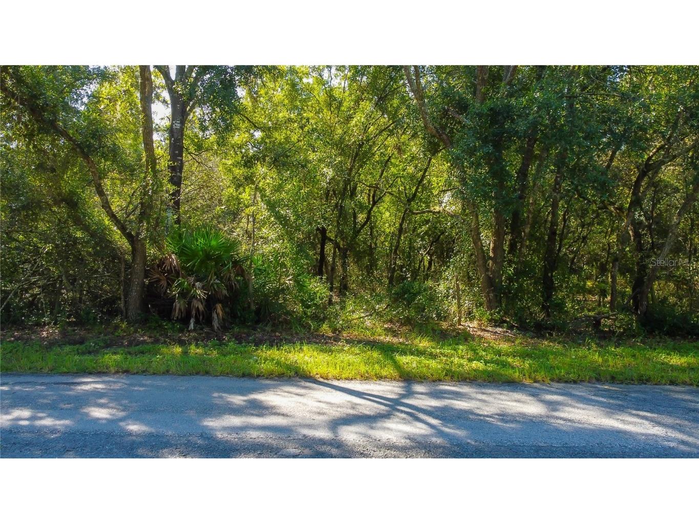 9670 Star Trl New Port Richey FL 34654 TB8430389 image6