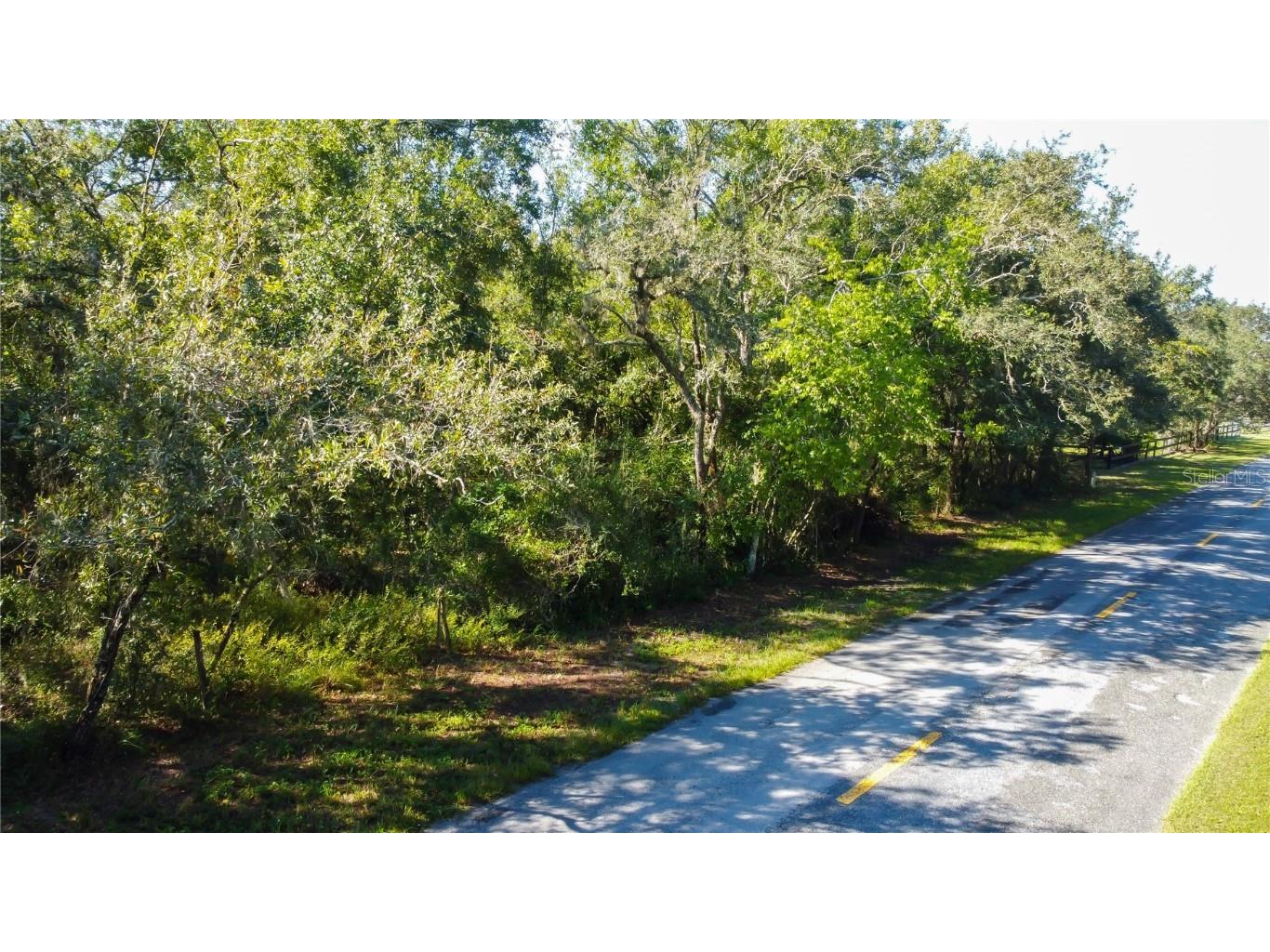 9670 Star Trl New Port Richey FL 34654 TB8430389 image7