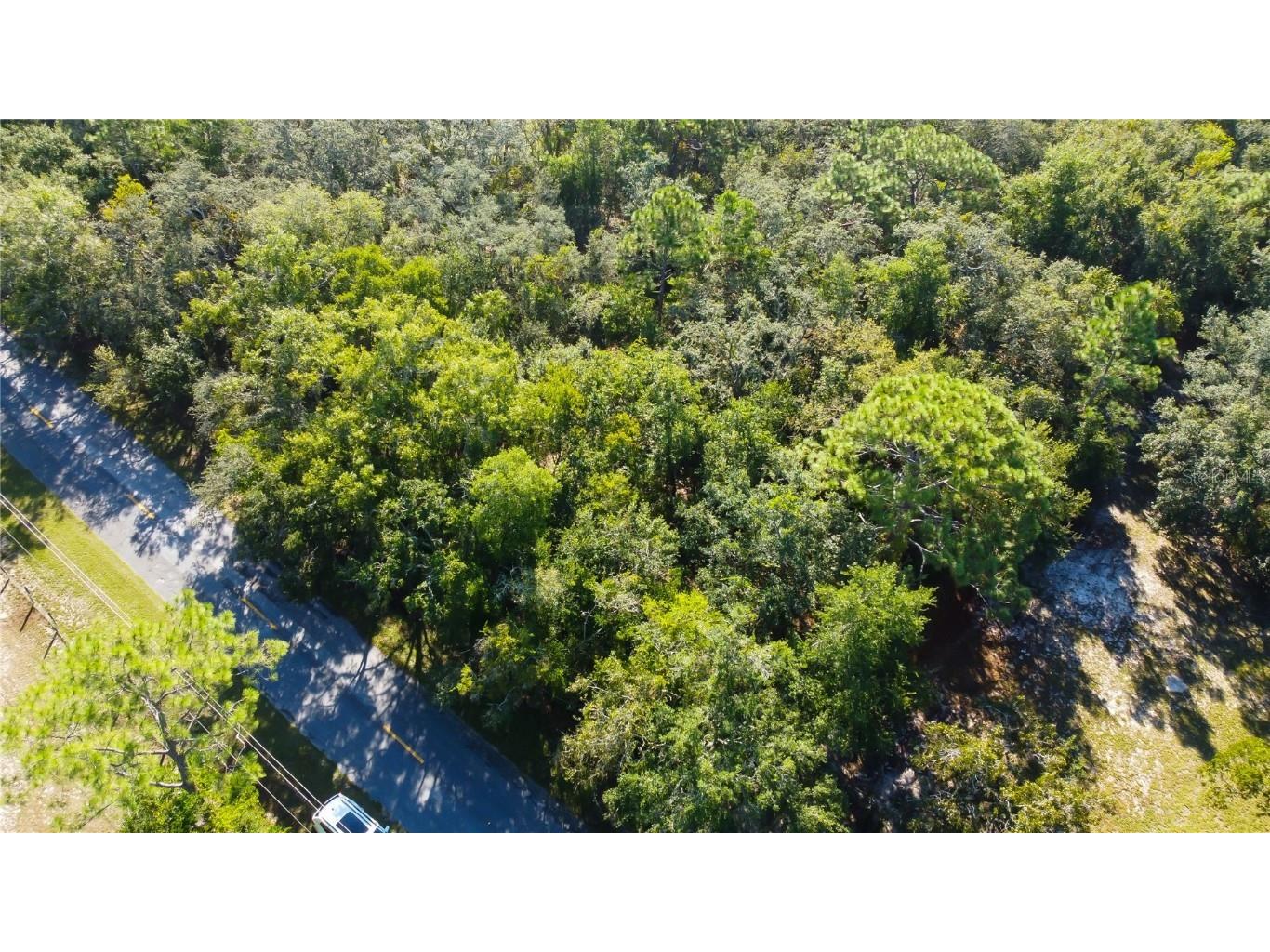 9670 Star Trl New Port Richey FL 34654 TB8430389 image8