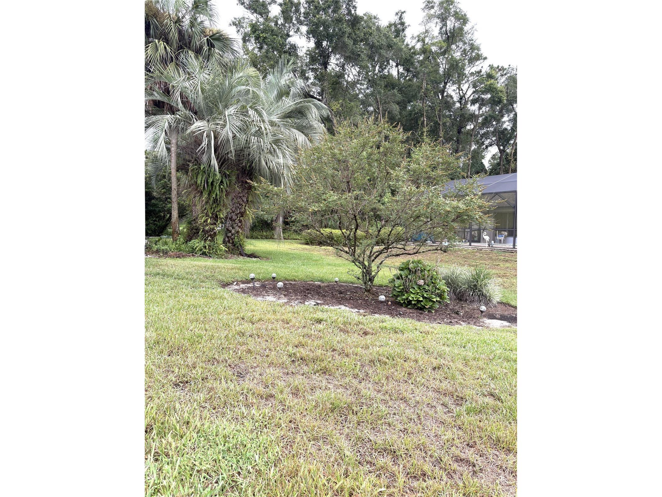 9670 SW 190th Terrace Road Dunnellon FL 34432 - RAINBOW RIVER OM727559 image66
