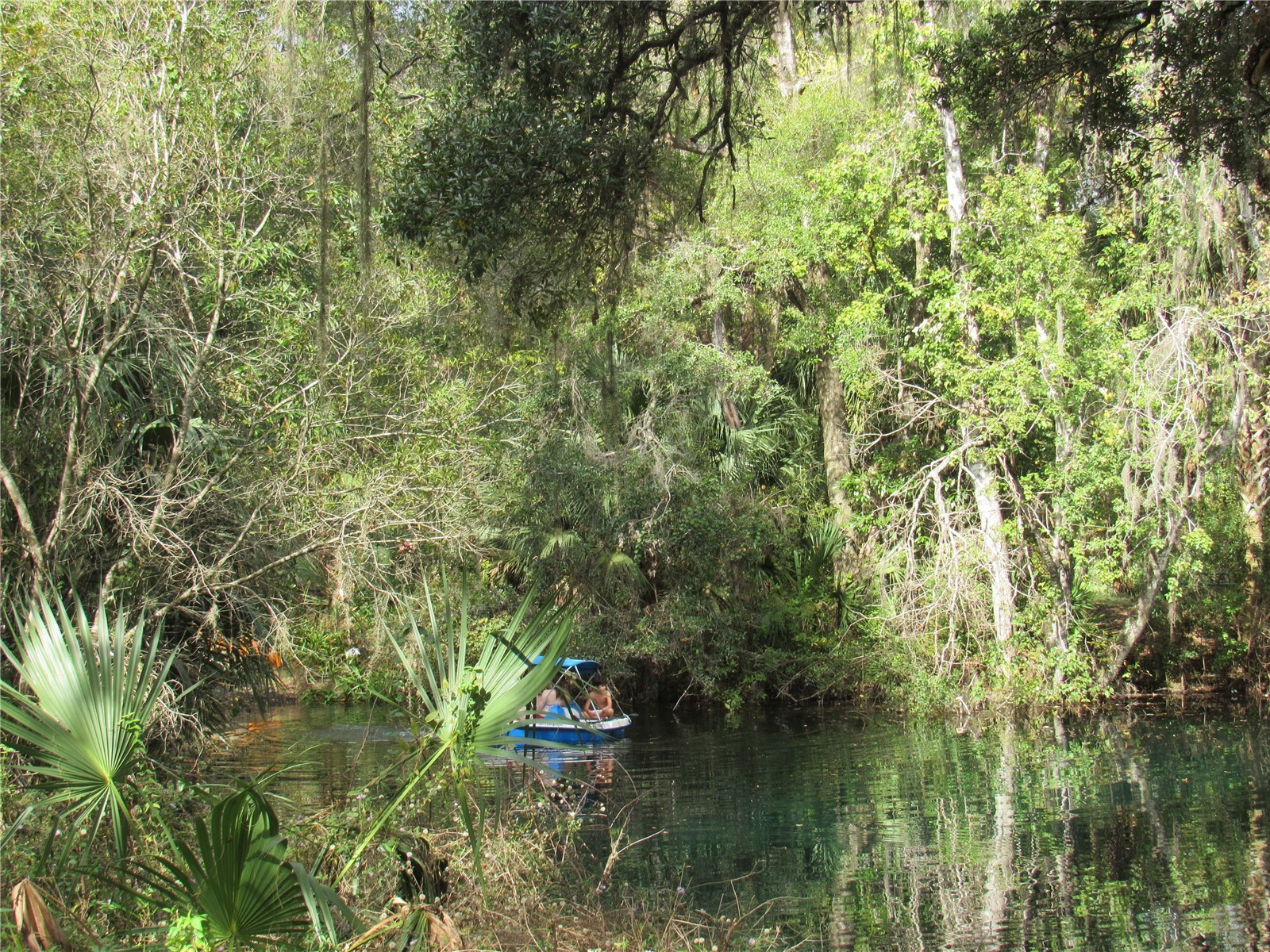 9670 SW 190th Terrace Road Dunnellon FL 34432 - RAINBOW RIVER OM727559 image85