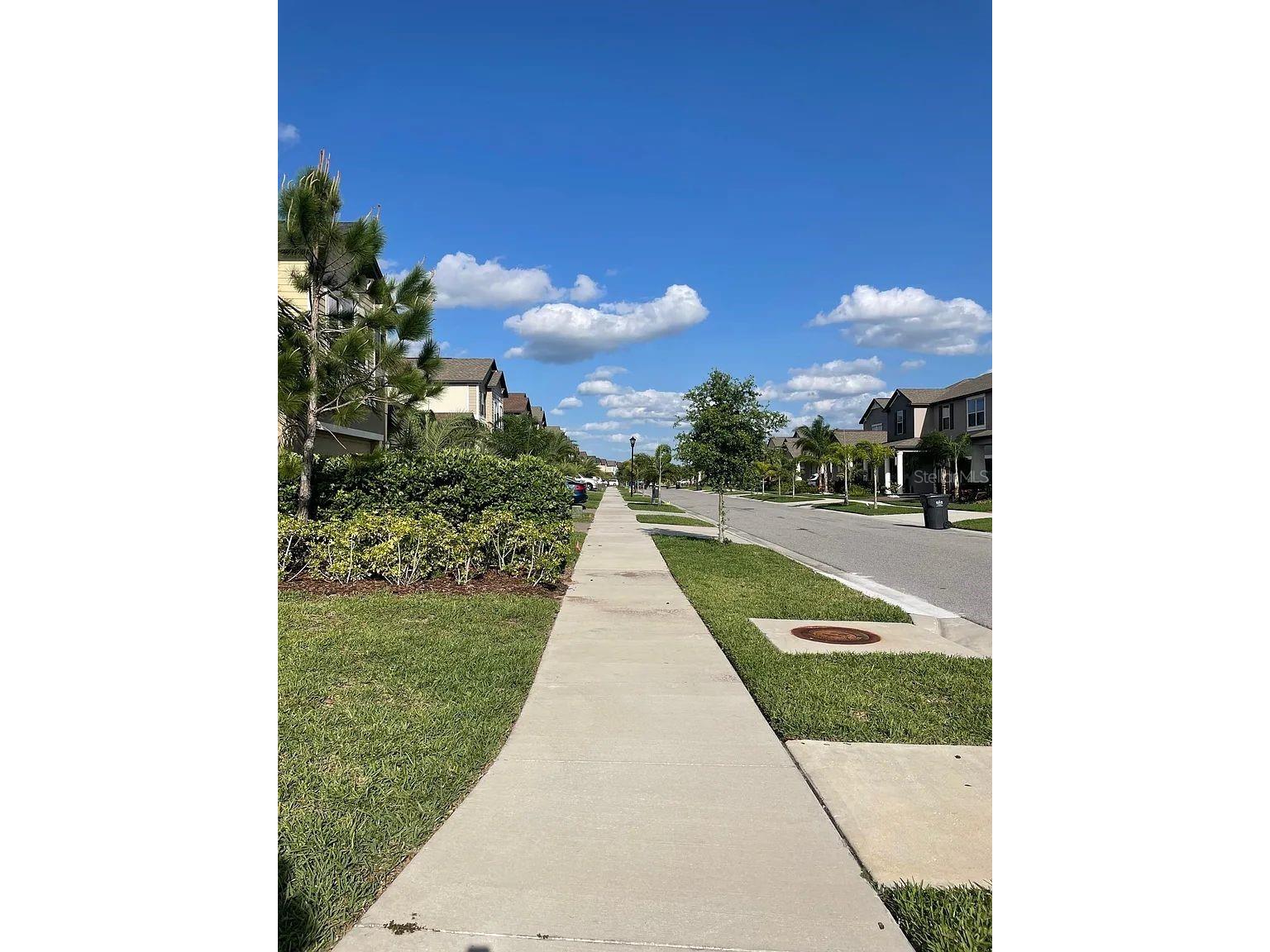 9671 Ivory Drive Sun City Center FL 33573 TB8526464 image33