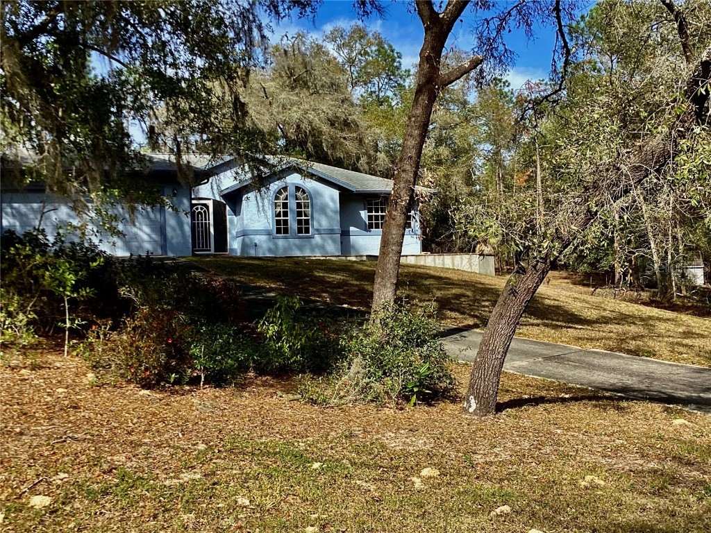 9671 SW 207th Circle Dunnellon FL 34431 - RAINBOW SPRINGS OM672763 image1
