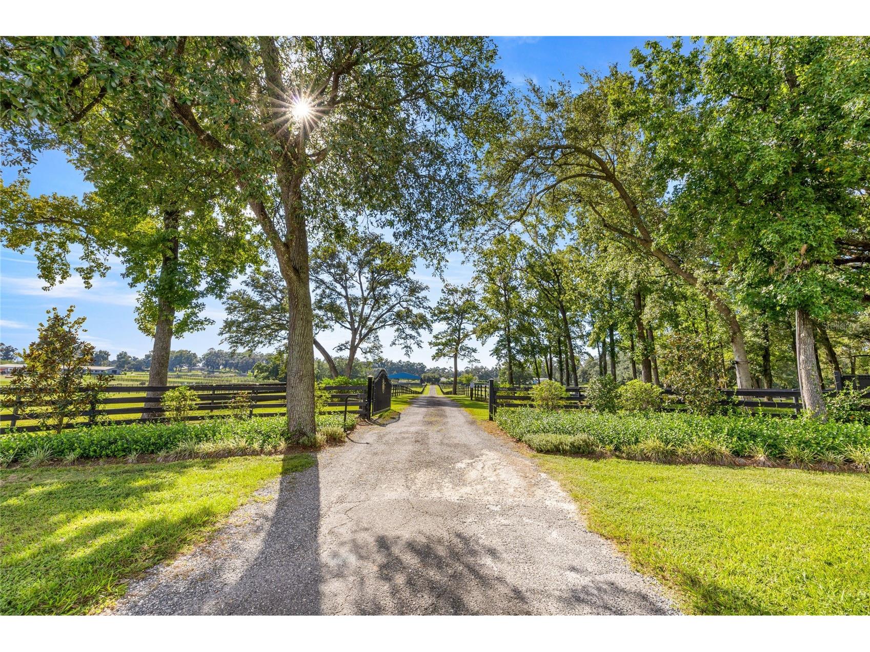 9680 NW Highway 225a Ocala FL 34482 OM720864 image3