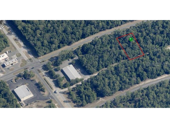 9681 N Citrus Springs Boulevard Citrus Springs FL 34434 OM684454 image1