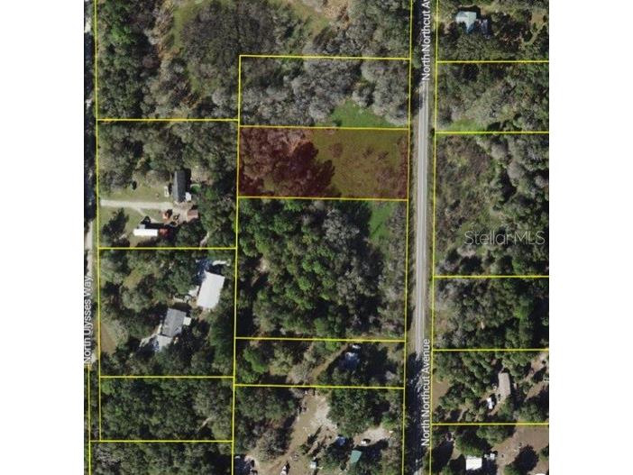 9682 N Northcut Avenue Crystal River FL 34428 W7886777 image2