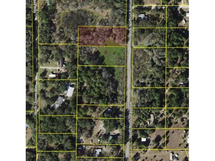 9682 N Northcut Avenue Crystal River FL 34428 W7886777 image3