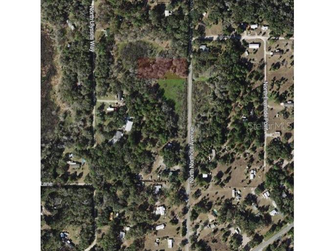 9682 N Northcut Avenue Crystal River FL 34428 W7886777 image4