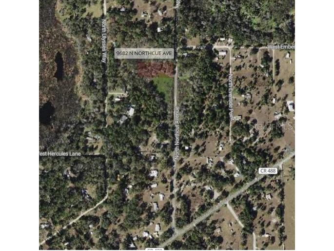 9682 N Northcut Avenue Crystal River FL 34428 W7886777 image5