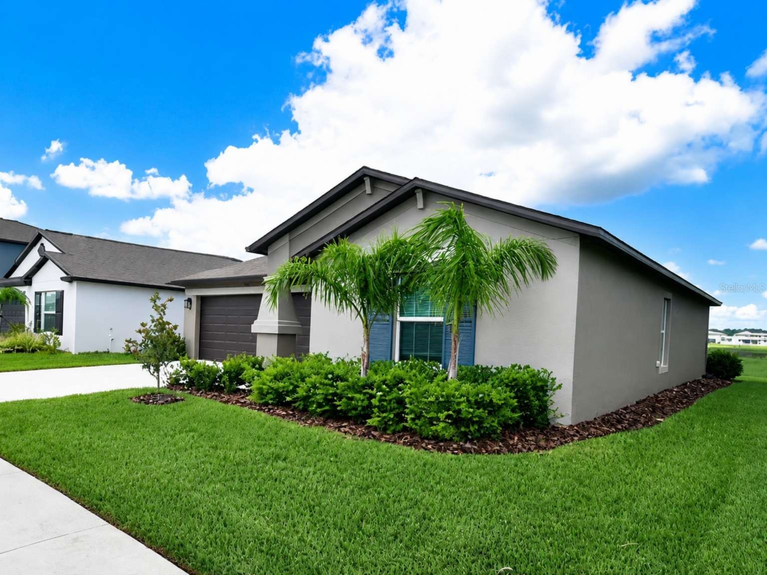 9685 Branching Ship Trace Wesley Chapel FL 33545 TB8514102 image3