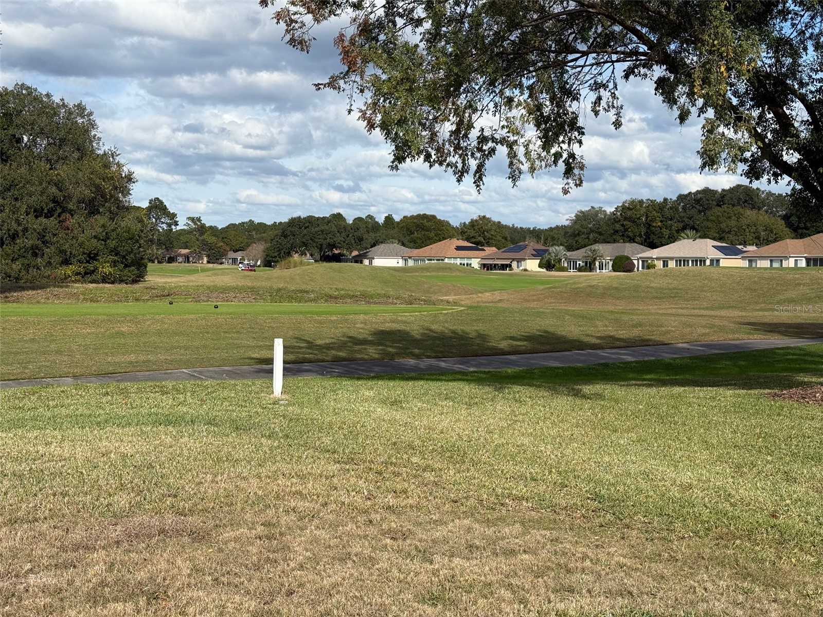 9685 SE 136th Place Summerfield FL 34491 OM715214 image18