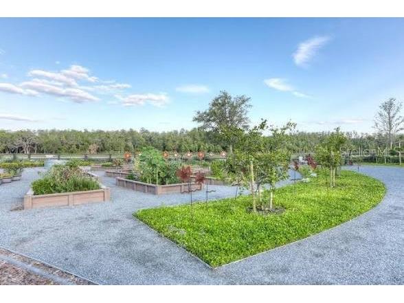 9687 Macbride Drive Orlando FL 32827 O6420605 image33