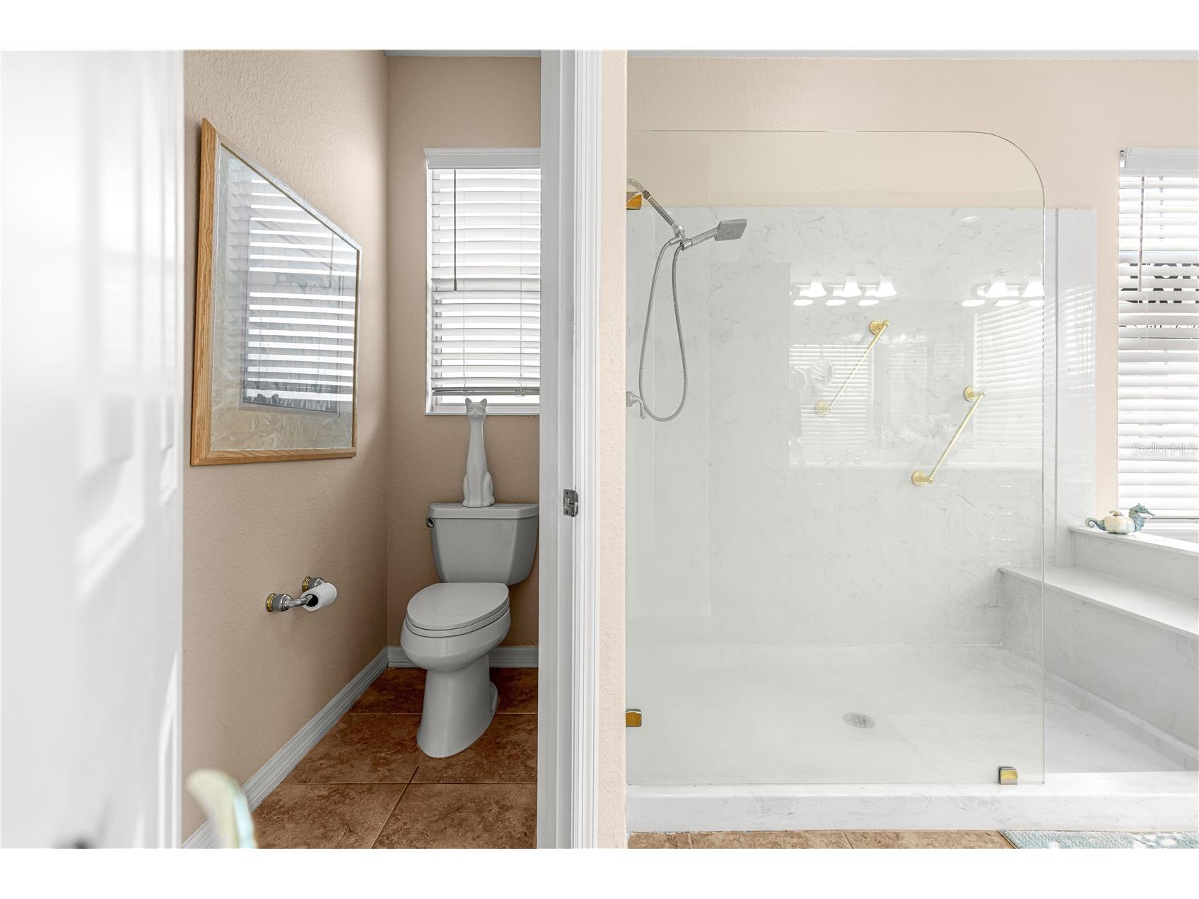 9687 SE 137th Street Road Summerfield FL 34491 OM724826 image52