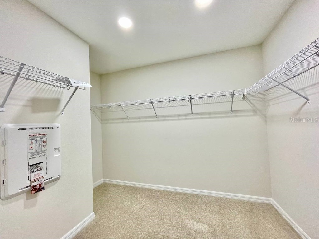 9689 Sweetwell Place Riverview FL 33569 TB8447798 image18