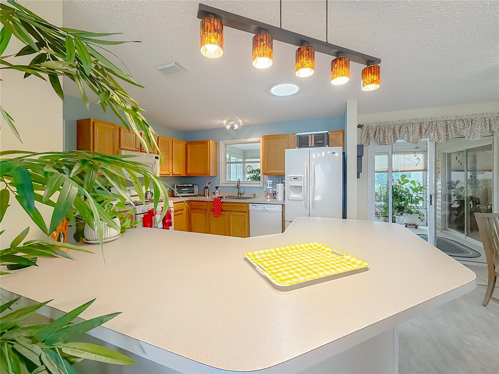 969 Candler Place The Villages FL 32162 OM716665 image12