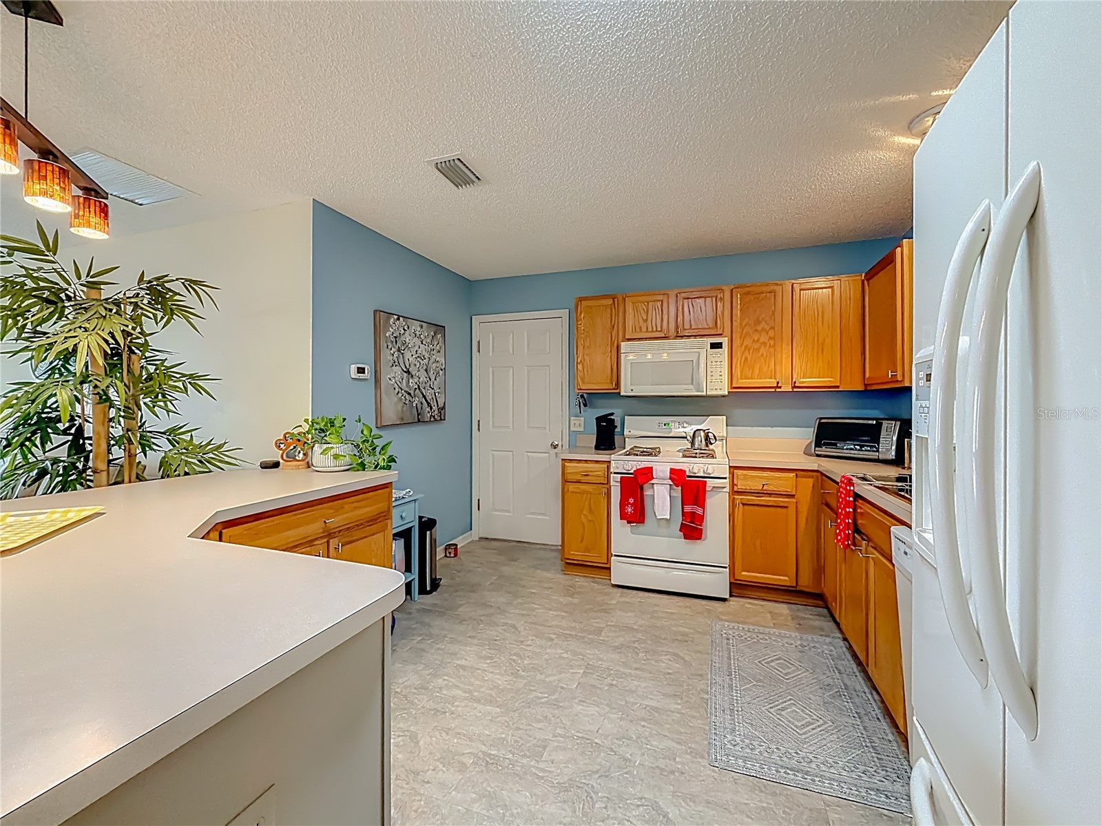 969 Candler Place The Villages FL 32162 OM716665 image13