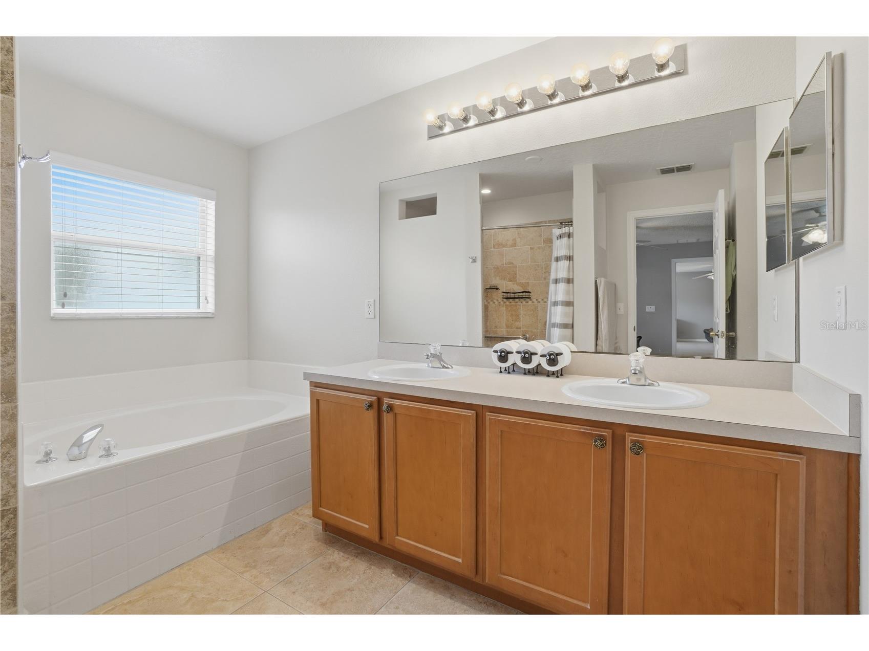 969 Horseshoe Falls Drive Orlando FL 32828 O6411111 image21