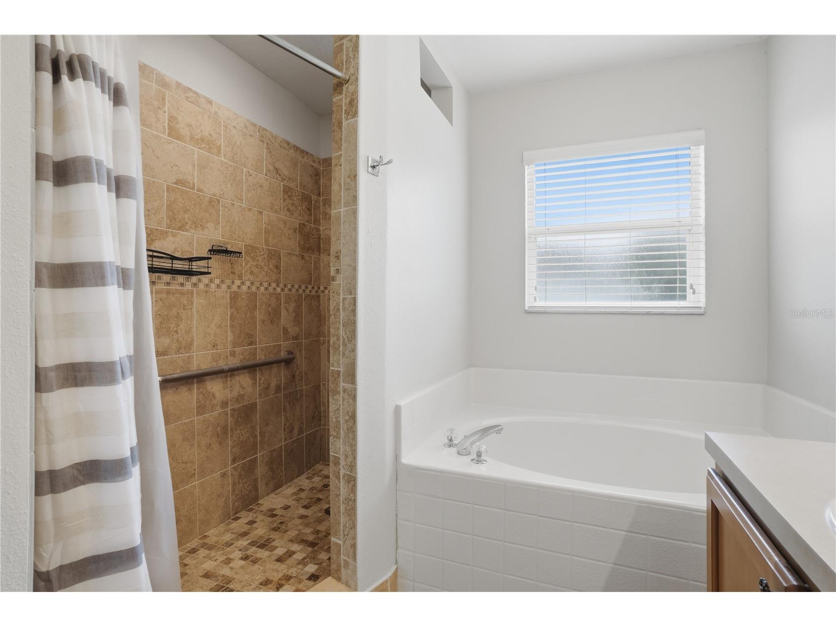 969 Horseshoe Falls Drive Orlando FL 32828 O6411111 image22