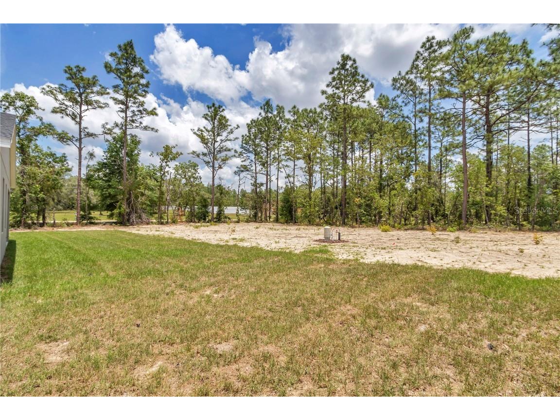 9695 SW 125 Court Road Dunnellon FL 34432 O6308789 image39
