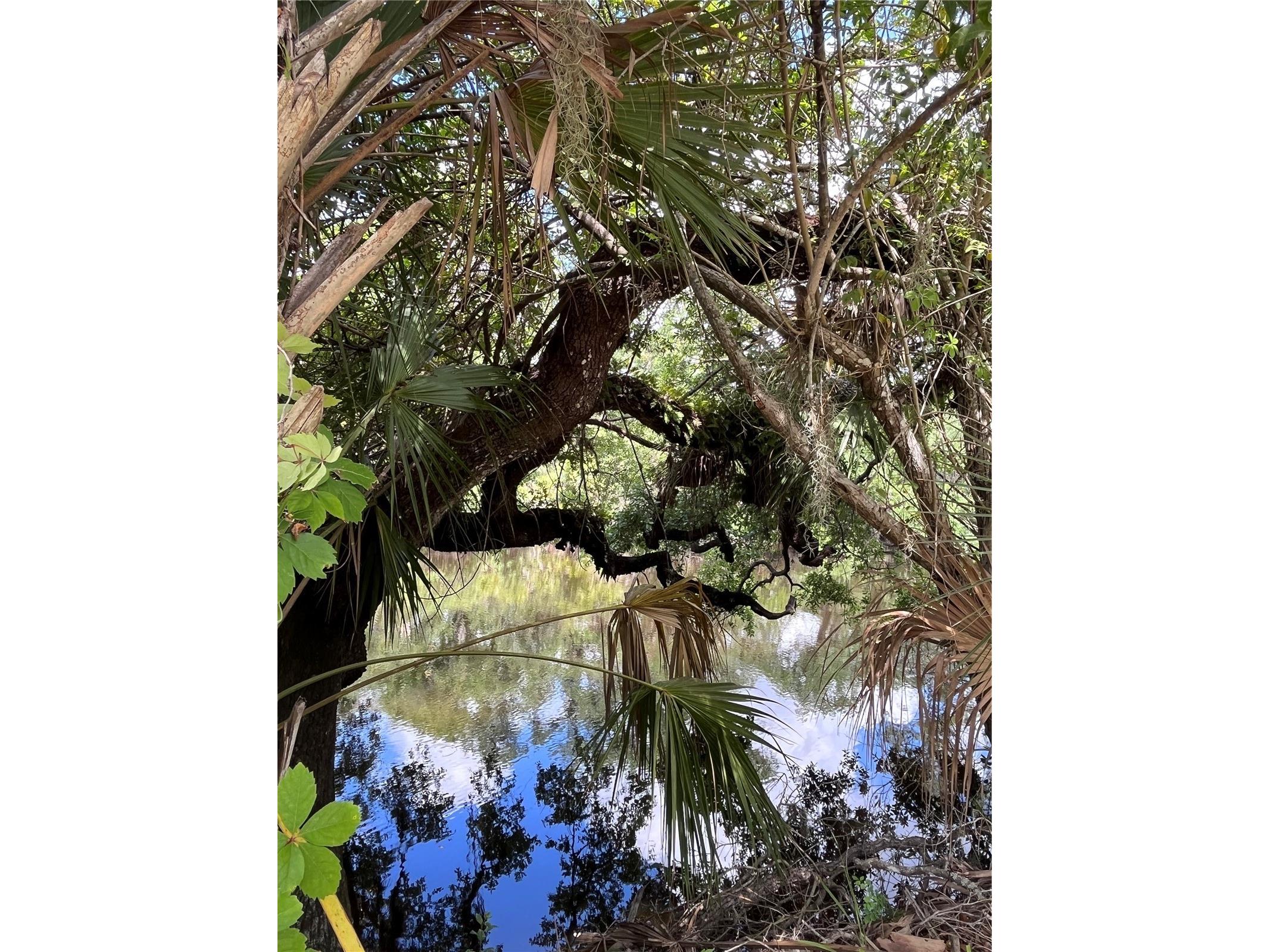 970 Brentwood Drive Venice FL 34292 - MYAKKA RIVER N6144451 image2