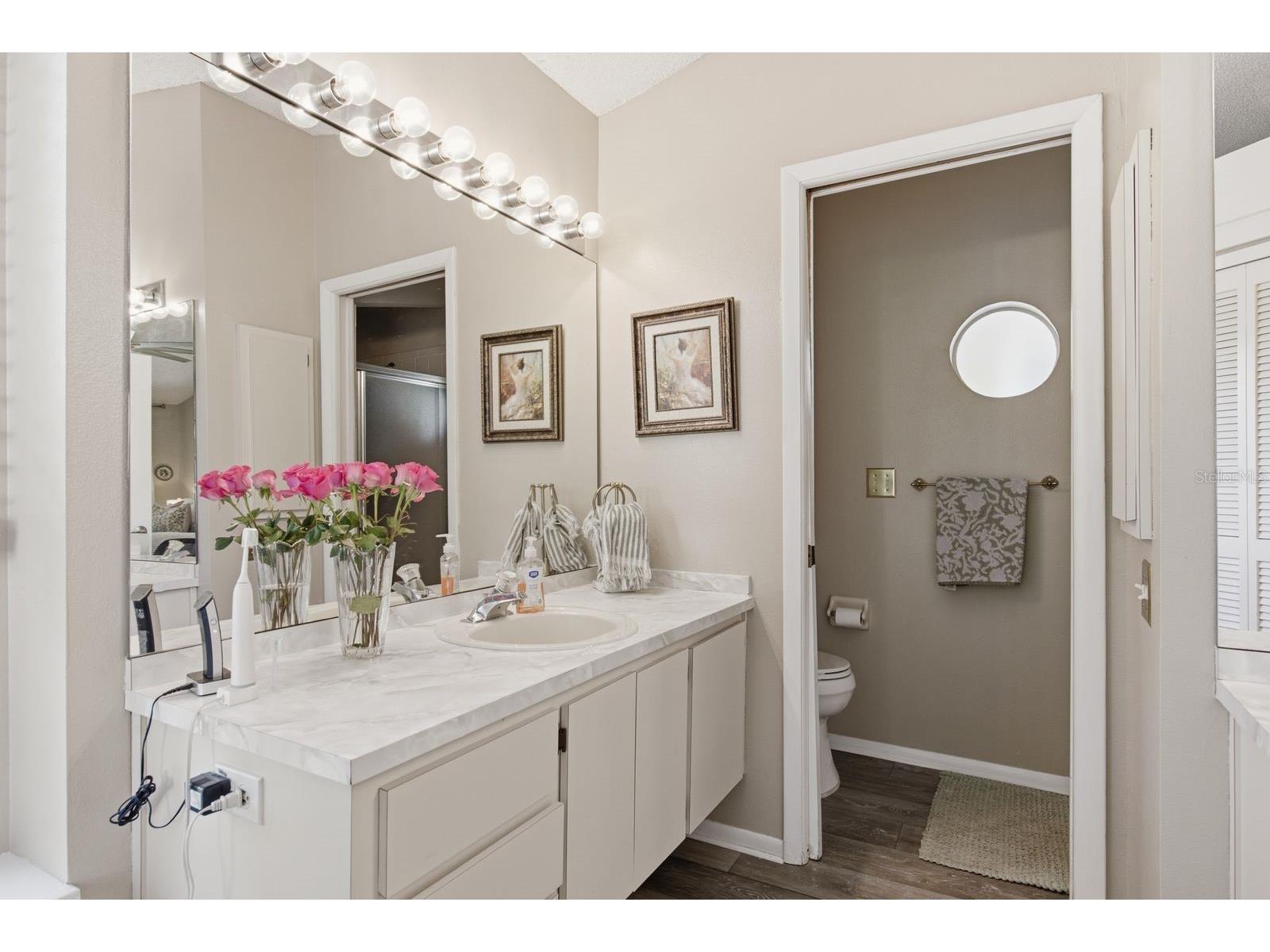 970 Valley View Circle Palm Harbor FL 34684 TB8520237 image24