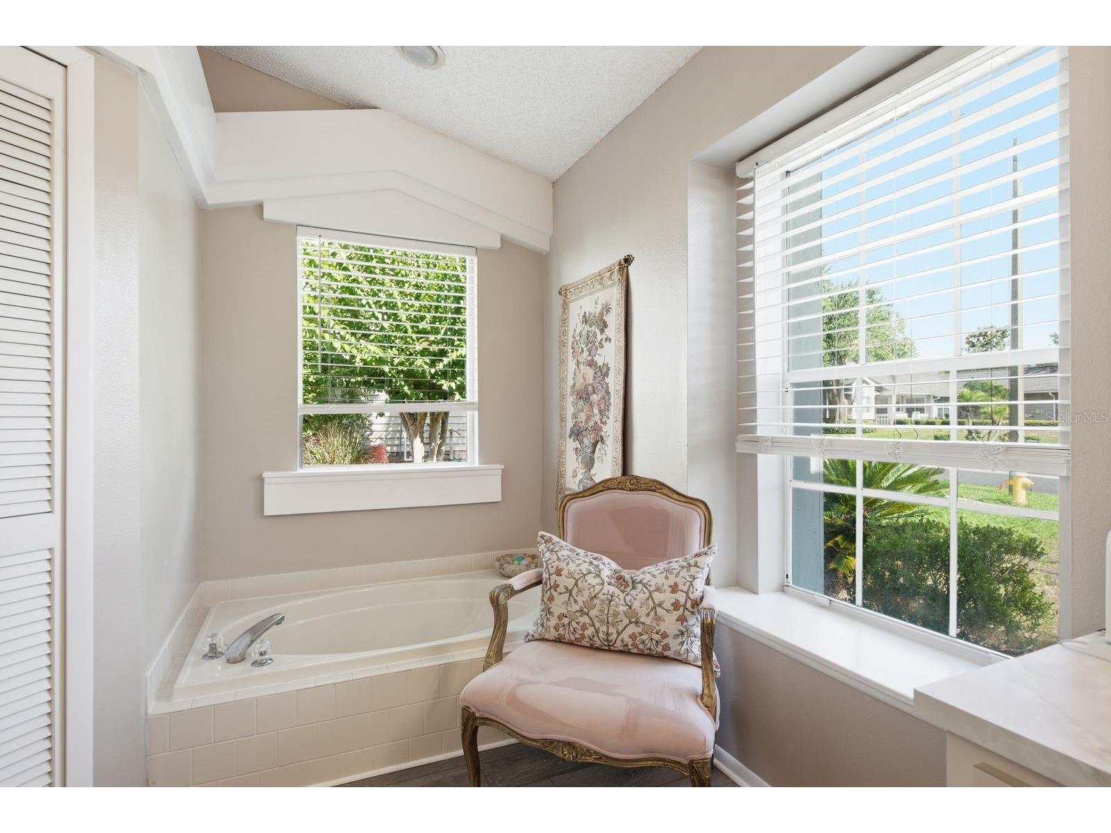 970 Valley View Circle Palm Harbor FL 34684 TB8520237 image25
