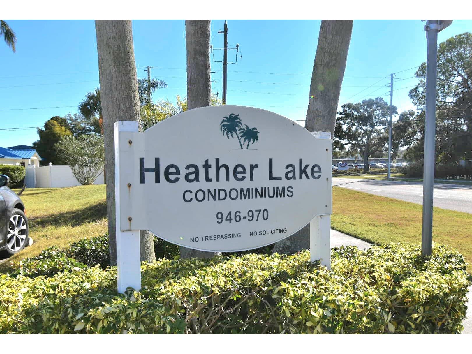 970 Virginia Street #109 Dunedin FL 34698 TB8460153 image2