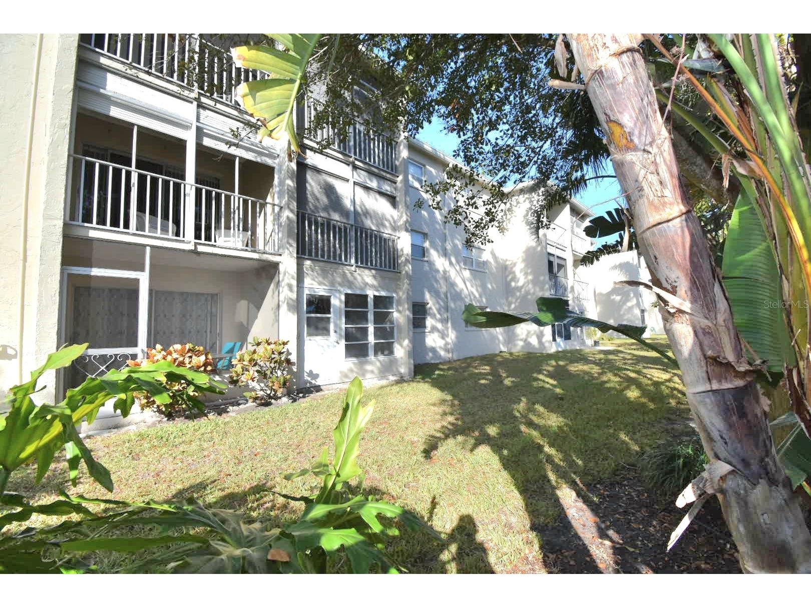 970 Virginia Street #109 Dunedin FL 34698 TB8460153 image29