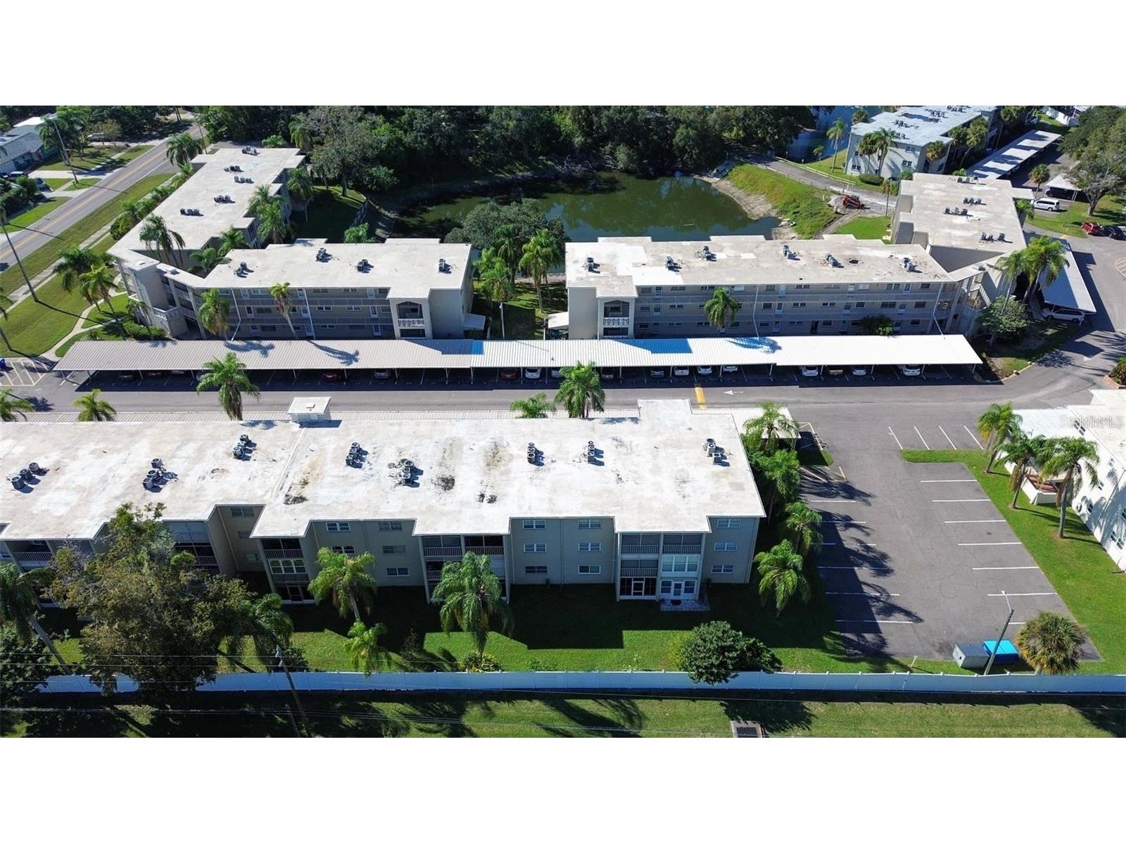 970 Virginia Street #109 Dunedin FL 34698 TB8460153 image31