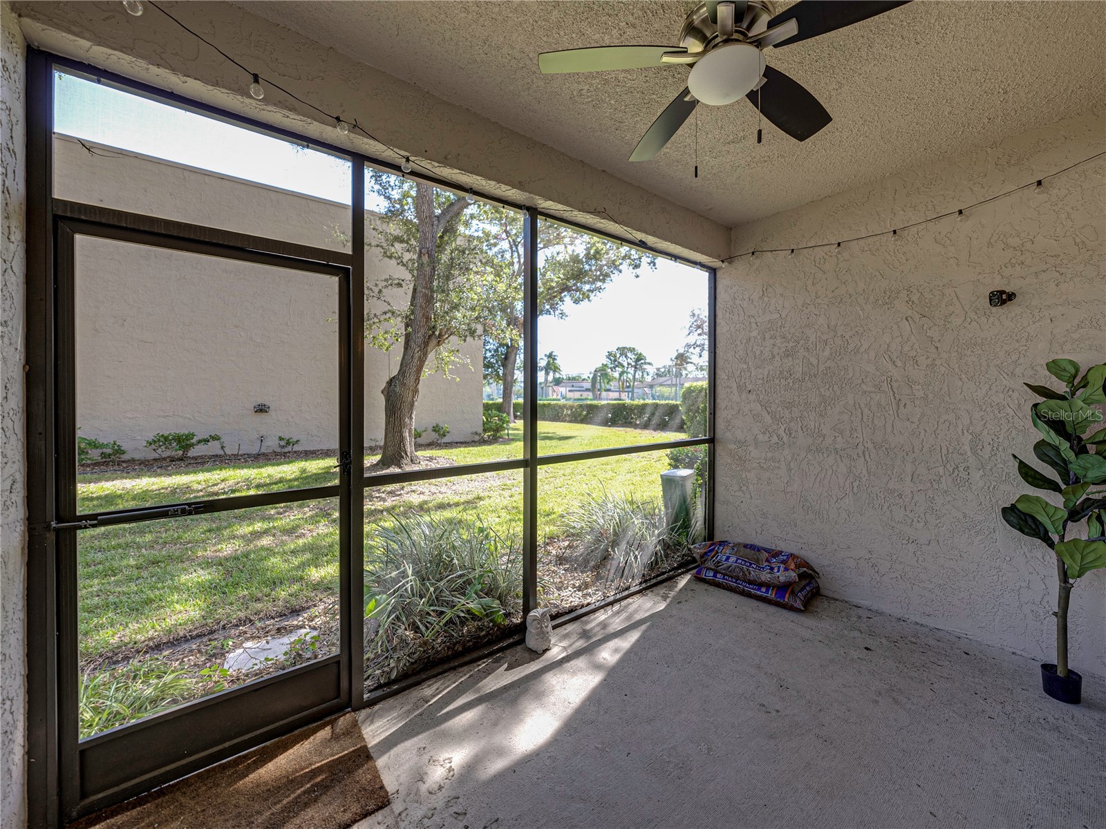 9700 Starkey Road #312 Seminole FL 33777 TB8485493 image26