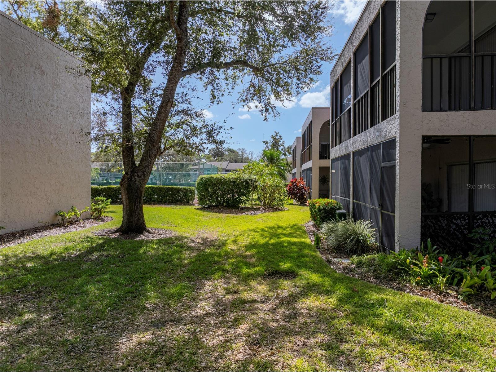 9700 Starkey Road #312 Seminole FL 33777 TB8485493 image32