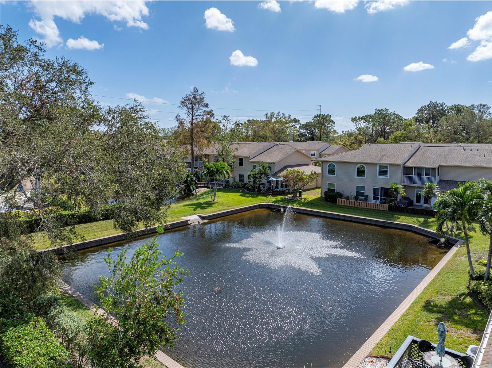 9700 Starkey Road #312 Seminole FL 33777 TB8485493 image38