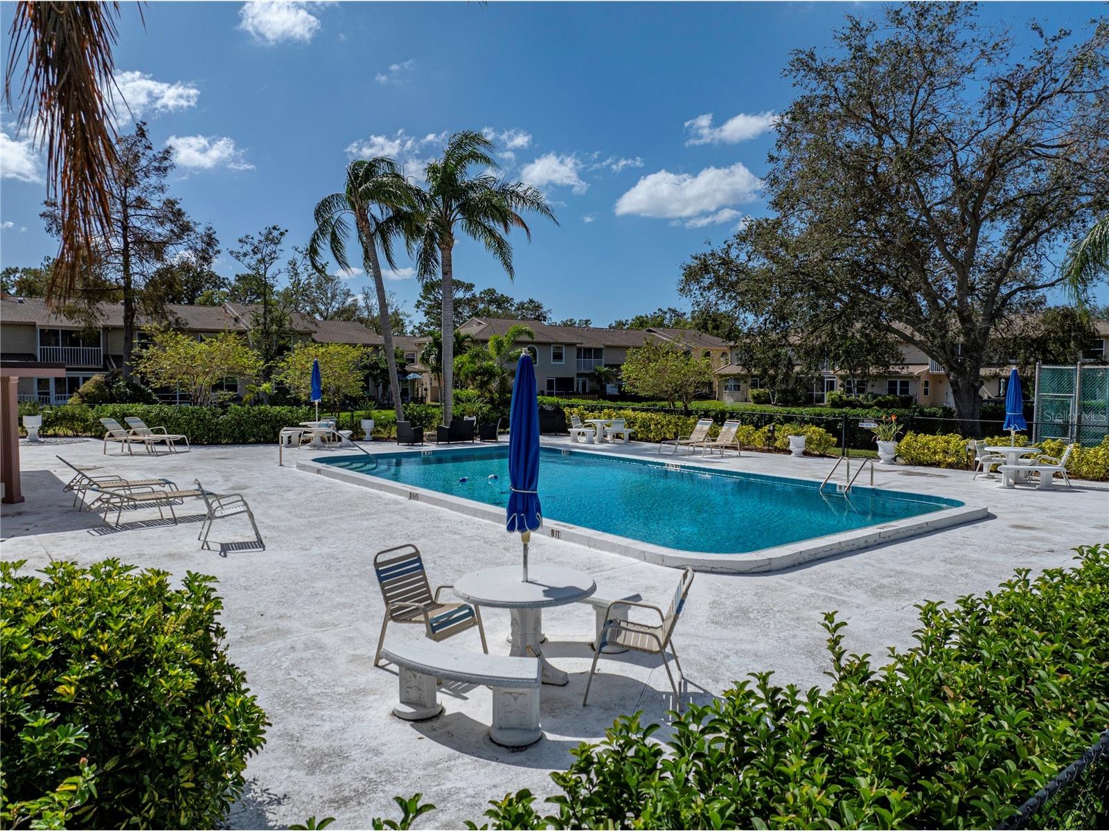 9700 Starkey Road #312 Seminole FL 33777 TB8485493 image42