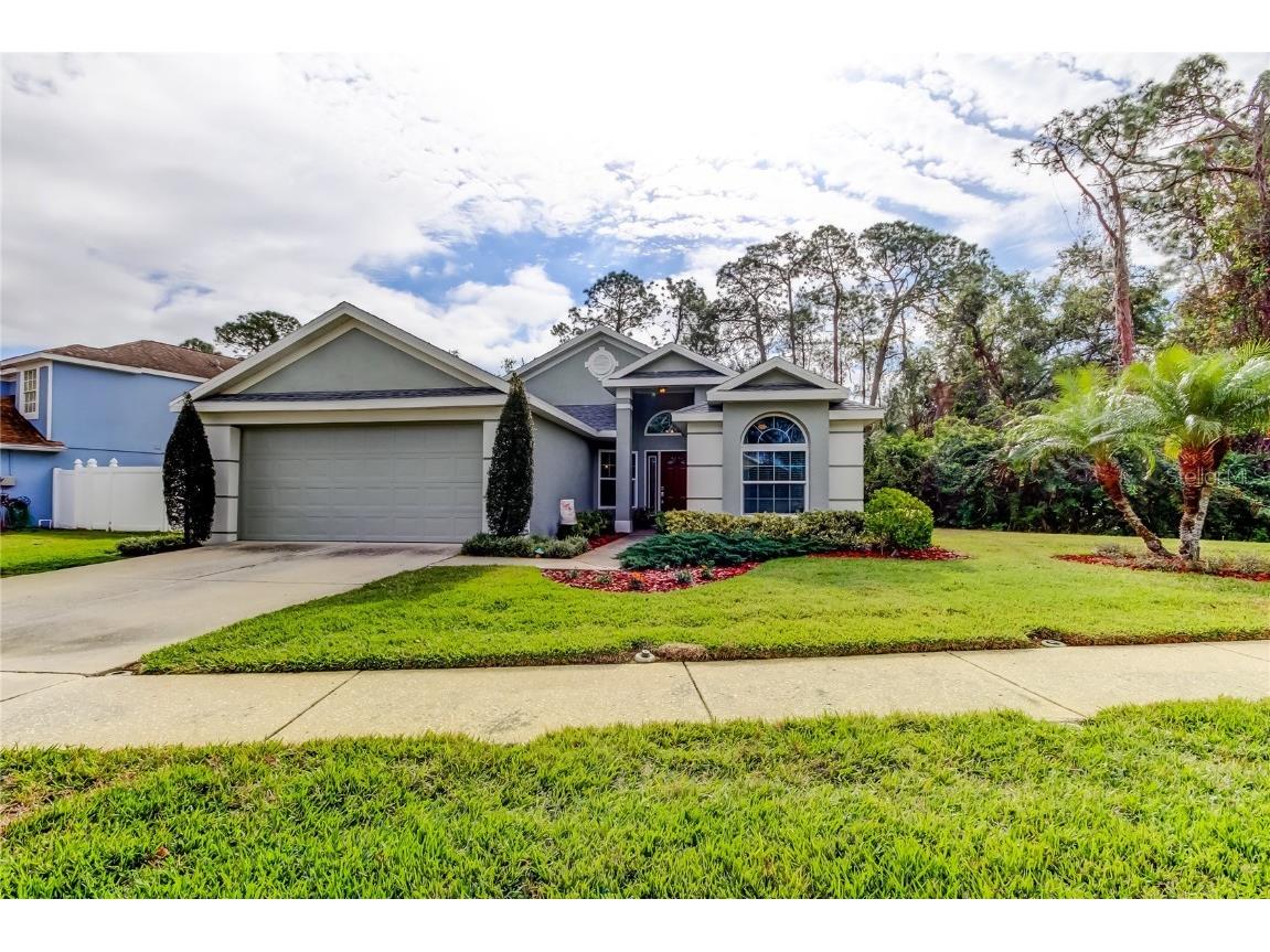 9702 Fredericksburg Road Tampa FL 33635 TB8333354 image1