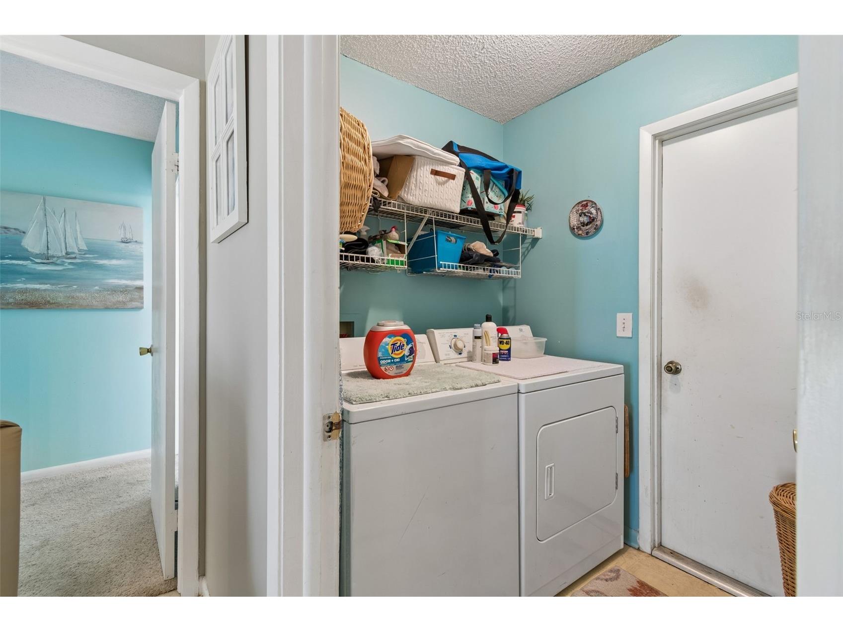 9702 Little Pond Way Tampa FL 33647 TB8504780 image38