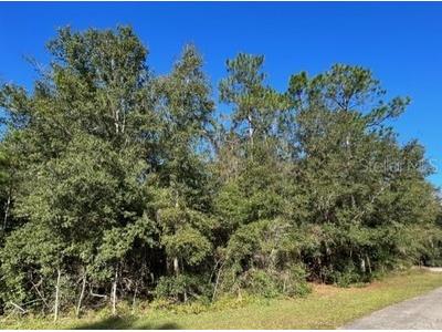 9702 SW 83rd Way Gainesville FL 32608 GC517678 image1