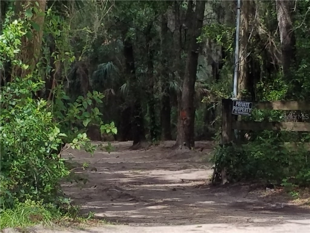 9703-B Carr Road (Off Boyette) Road Riverview FL 33569 T2890350 image1