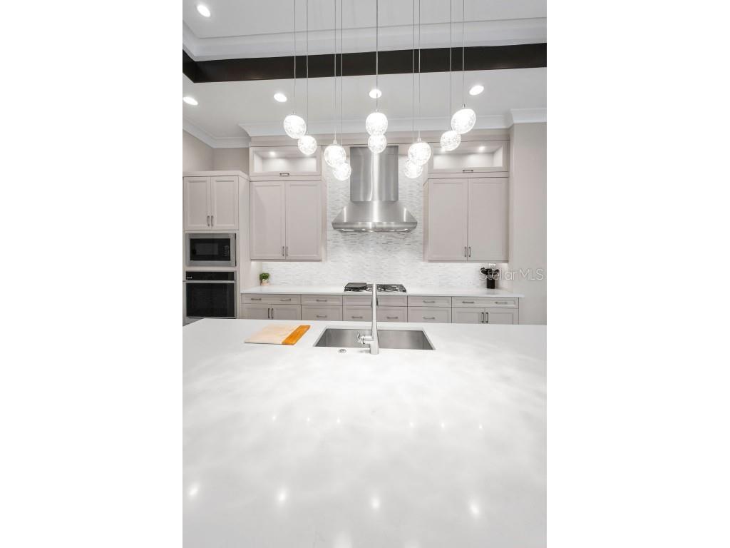 9704 Milano Drive Trinity FL 34655 W7876624 image16