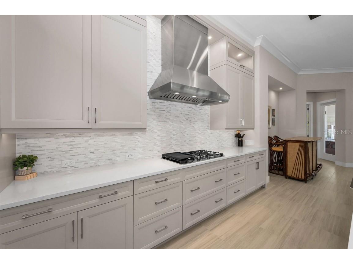 9704 Milano Drive Trinity FL 34655 W7876624 image20