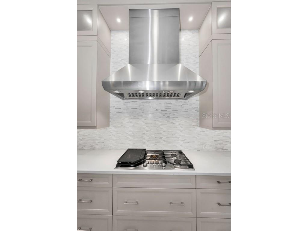 9704 Milano Drive Trinity FL 34655 W7876624 image21