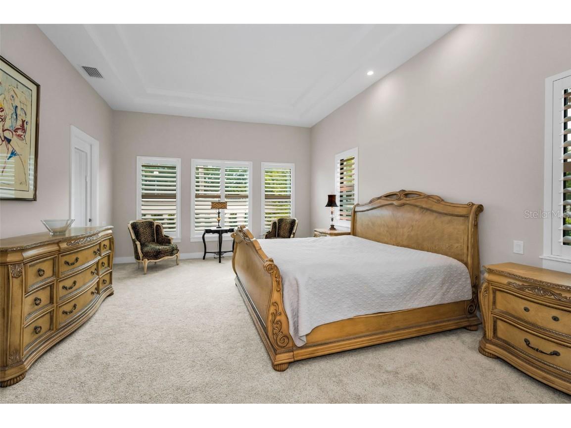 9704 Milano Drive Trinity FL 34655 W7876624 image34