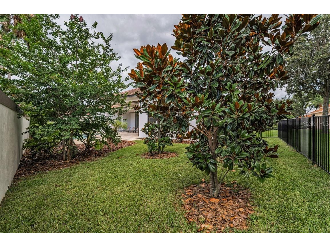 9704 Milano Drive Trinity FL 34655 W7876624 image71