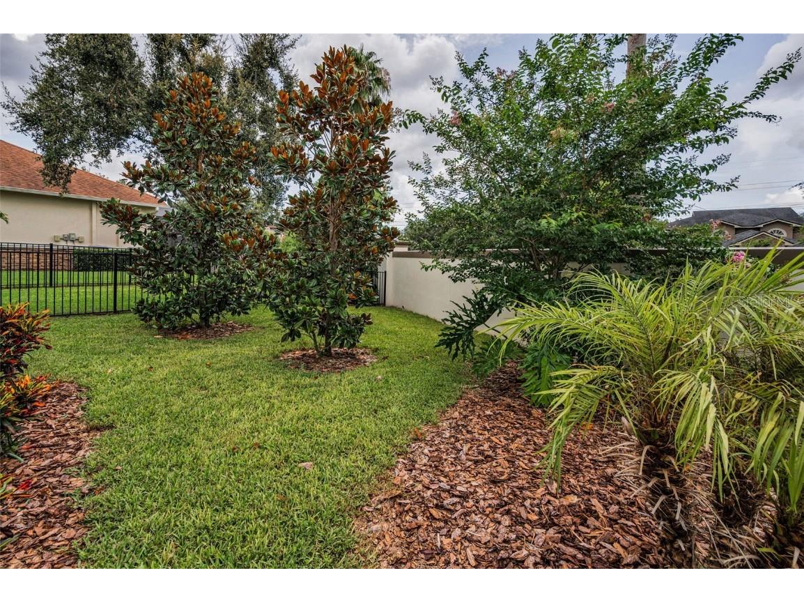 9704 Milano Drive Trinity FL 34655 W7876624 image72