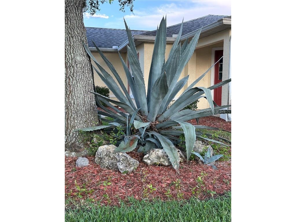 9706 SW 92nd Place Road Ocala FL 34481 OM704175 image39