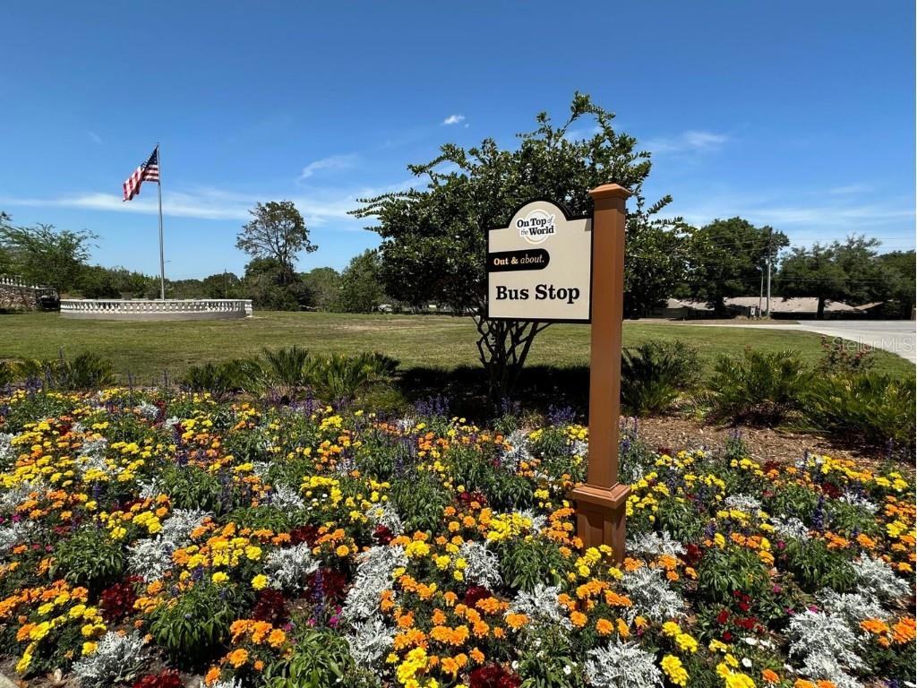 9706 SW 92nd Place Road Ocala FL 34481 OM704175 image67